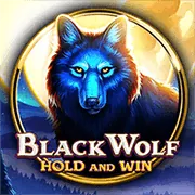Đa dạng trò chơi 12bet